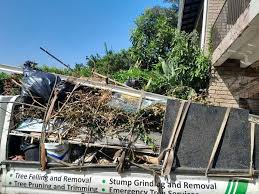 Best Attic Cleanout  in Dillingham, AK